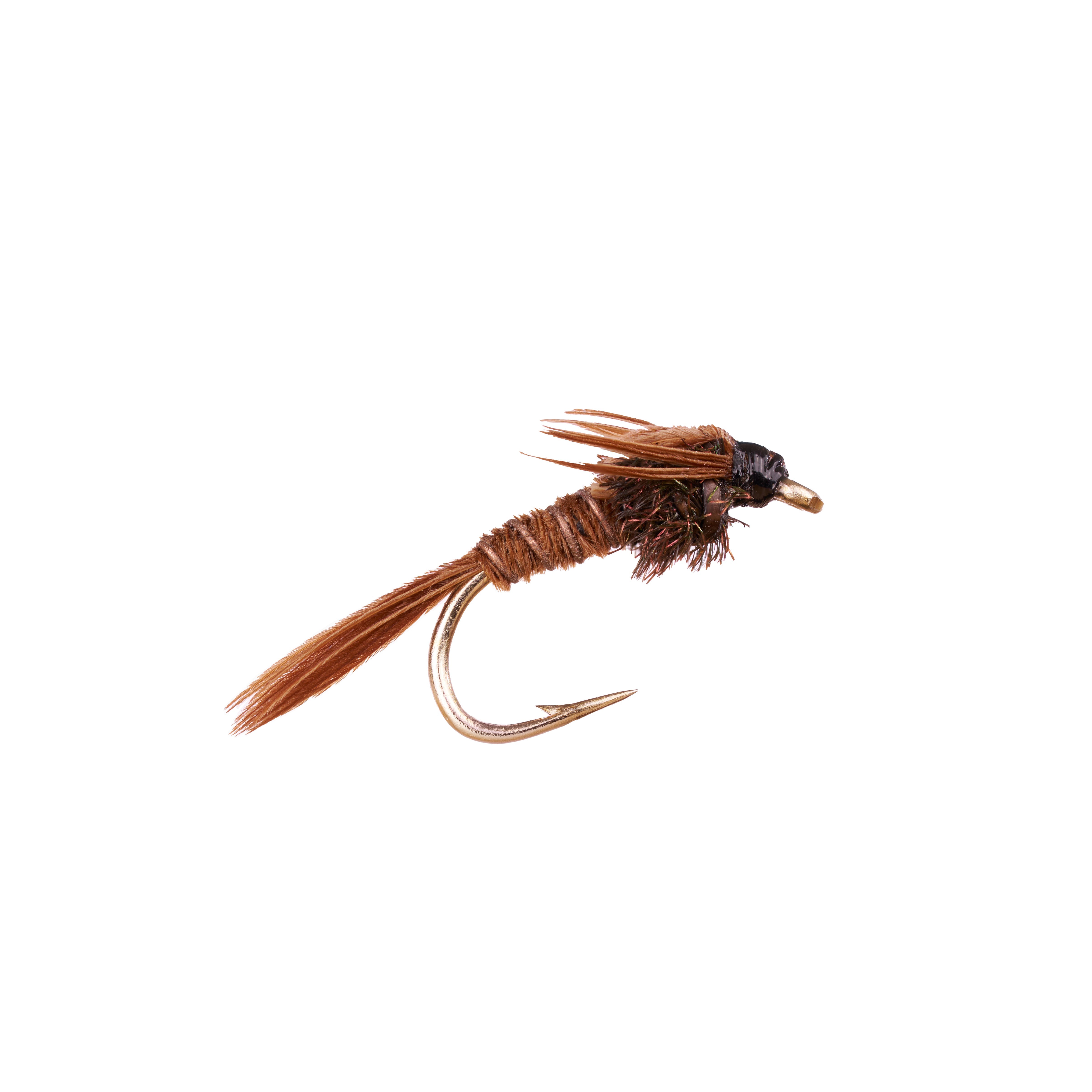 Nymphs