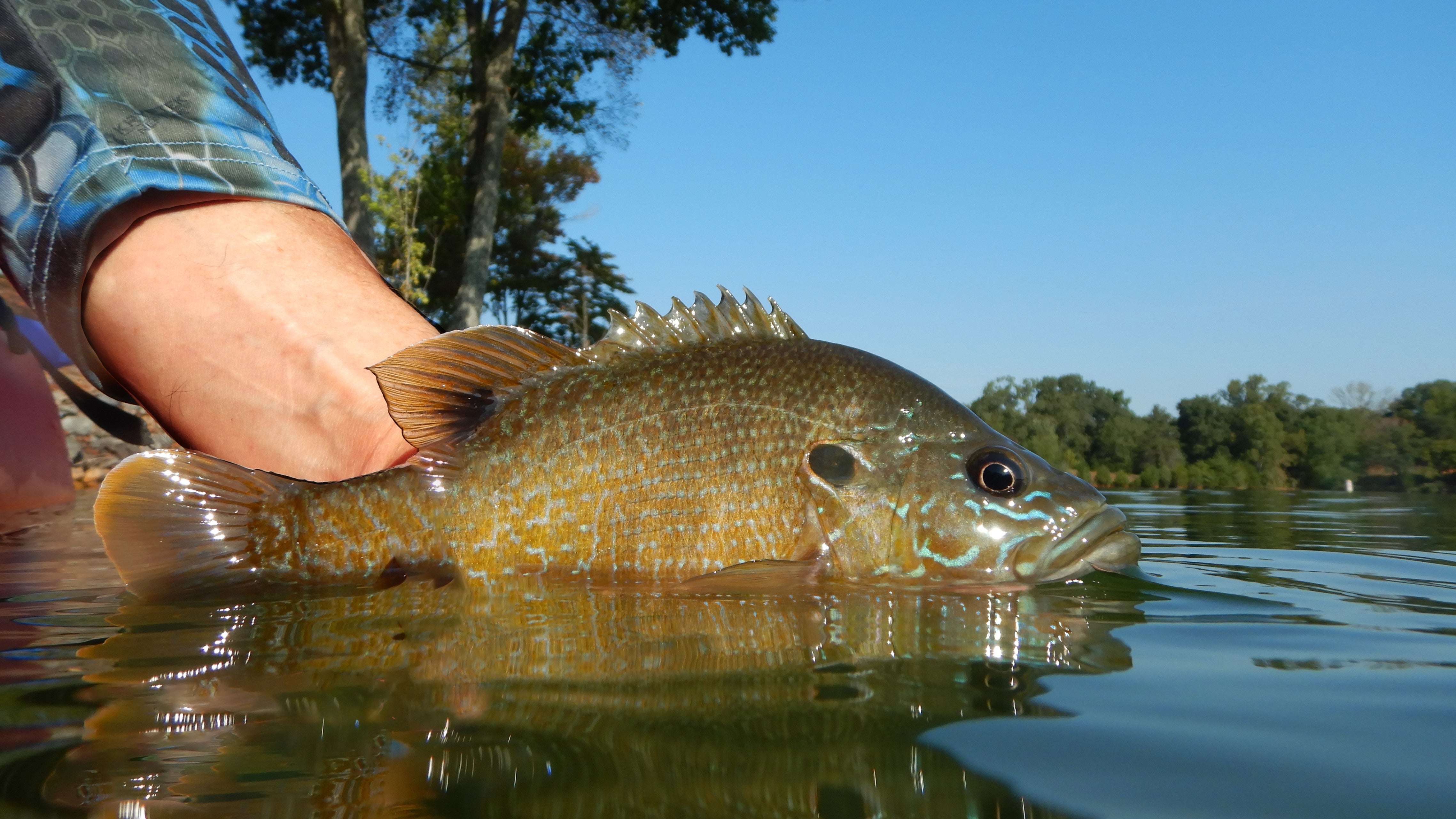Tying Kits for Panfish