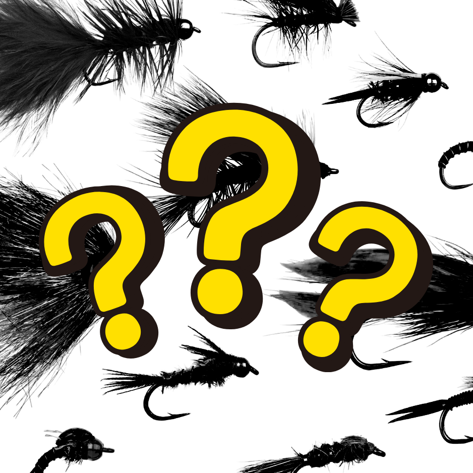 BONUS Mystery Fly