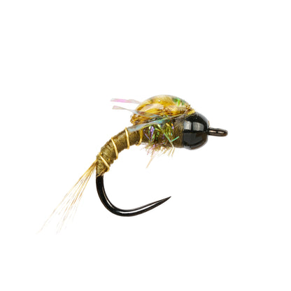 Trout Flies Membership